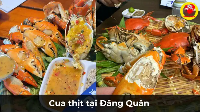 Gạch Vàng Cua Đặc Giá Bao Nhiêu? So Sánh Giá Các Thương Hiệu và Địa Điểm Bán