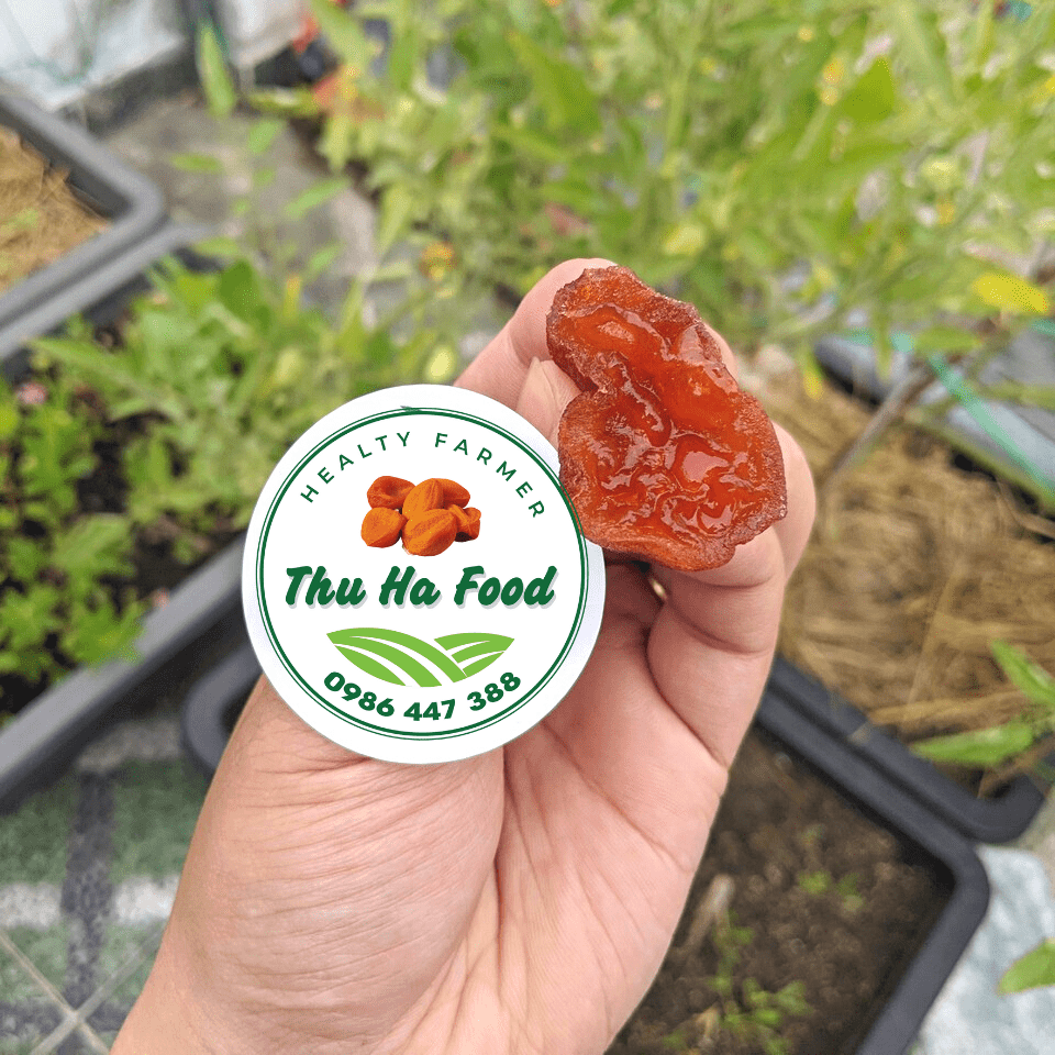 Mua Hồng Treo Gió 500g Ở Đâu Uy Tín, Chất Lượng? Gợi Ý Địa Chỉ Tin Cậy