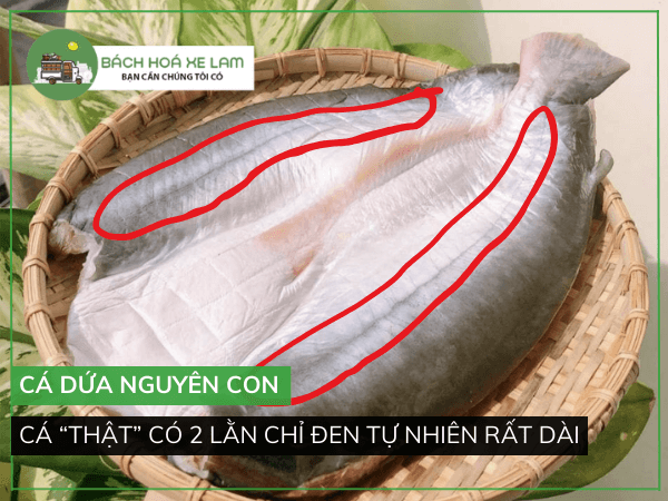 Khô Cá Dứa Cọng 3 Nắng Cắt Khúc 1Kg: Hương Vị Đặc Sản Miền Biển