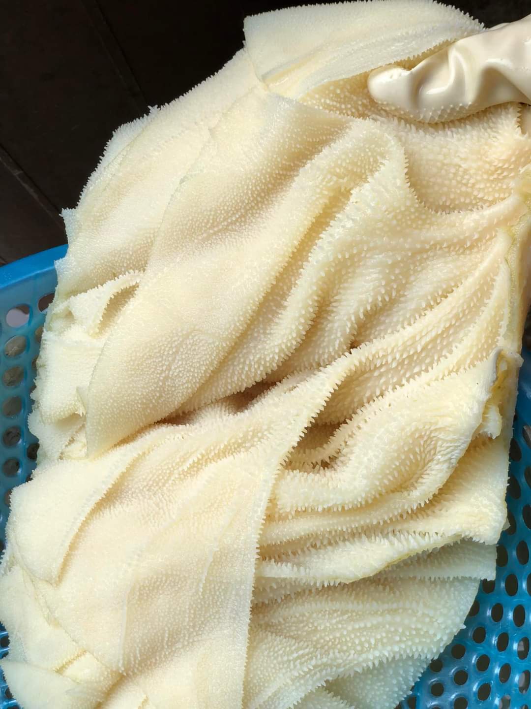 Tại Sao Nên Chọn Lá Sách Bò Trắng Làm Sạch, Hấp Chín?