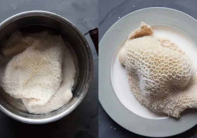 Hướng Dẫn Chi Tiết Cách Sơ Chế và Chế Biến Lá Sách Bò Trắng Hấp Chín (Các Món Ngon)