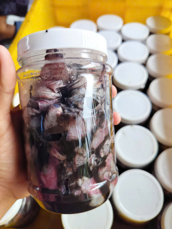 Mắm Mực Hủ 500gr Loại Nào Ngon Nhất? Cách Chọn Mắm Mực Chất Lượng