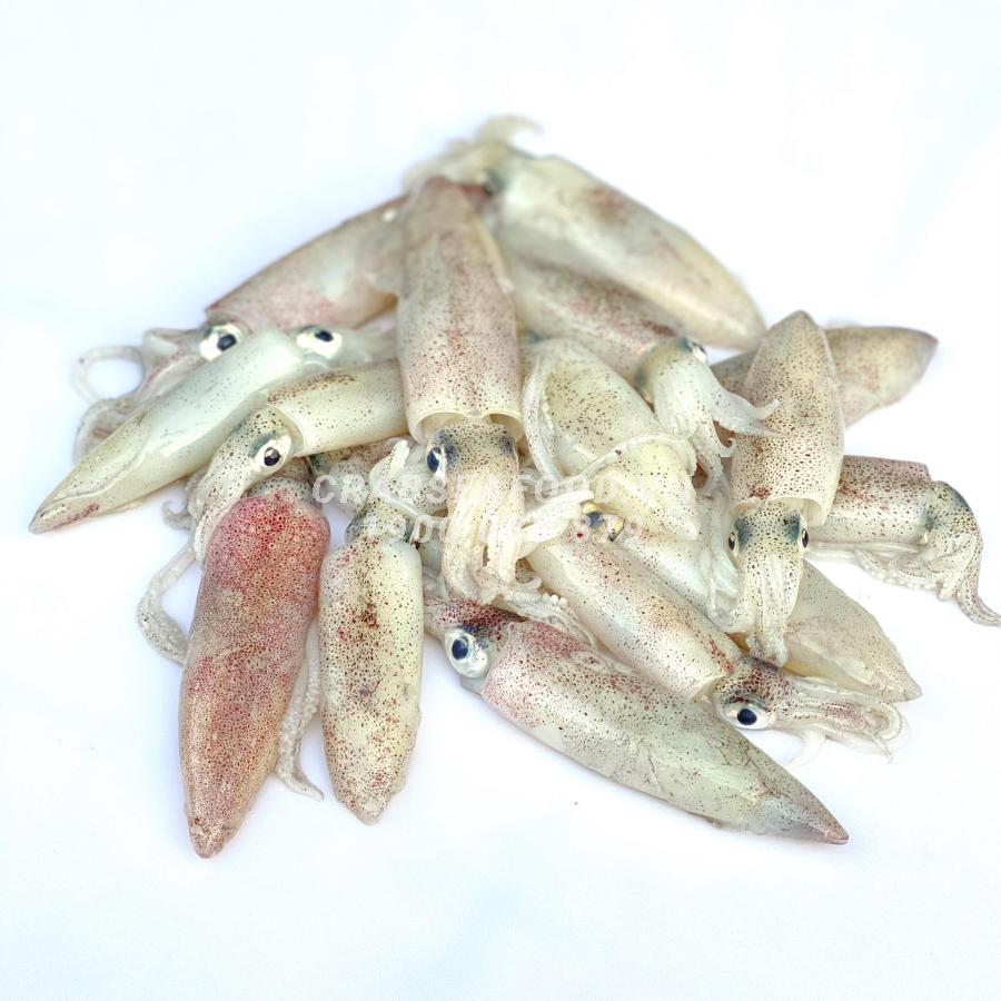 Mực Sữa Mini Tươi Ngon – Bí Quyết Chọn Mua và Bảo Quản Hoàn Hảo