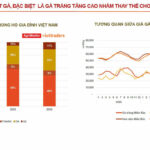 nhung-sai-lam-khi-nhap-thit-heo-gia-si-khien-quan-an-de-lo-3