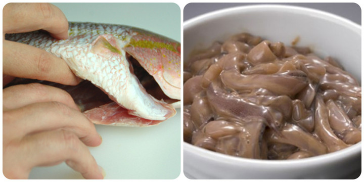 Phân biệt ruột cá lóc tươi ngon và dấu hiệu ruột cá bị hỏng