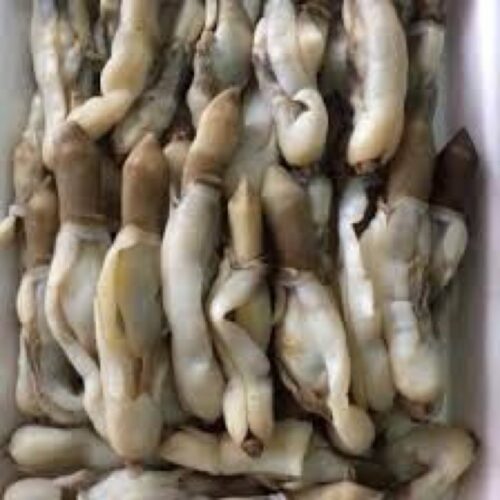 Ruột Ốc Móng Tay Loại 1 - 1Kg: Giá Tốt, Tươi Ngon, Mua Ở Đâu?