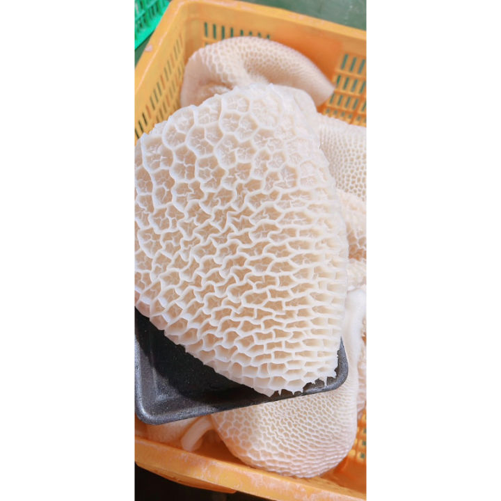 Tổ Ong Bò Luộc Chín Sạch 1Kg Lựa Chọn Hoàn Hảo Cho Món Ngon