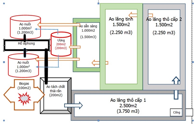 Nguồn Gốc, Quy Trình Sản Xuất & Đảm Bảo Chất Lượng Tôm Tít Bóc Vỏ