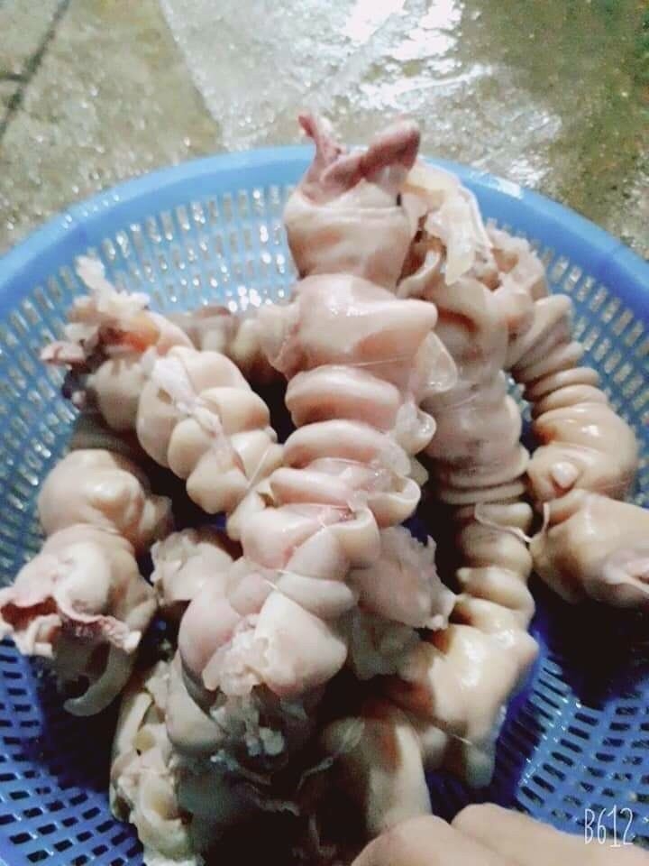 _Mô tả:_ Tìm hiểu chi tiết về đặc điểm, nguồn gốc và giá trị dinh dưỡng của vó bò luộc chín đóng gói 1kg, giúp người dùng hiểu rõ hơn về sản phẩm trước khi quyết định mua.